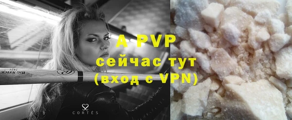 стаф Новокубанск