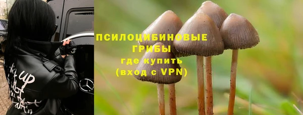 2c-b Новозыбков