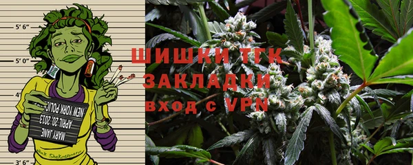 стаф Новокубанск