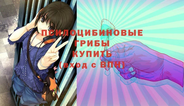 2c-b Новозыбков