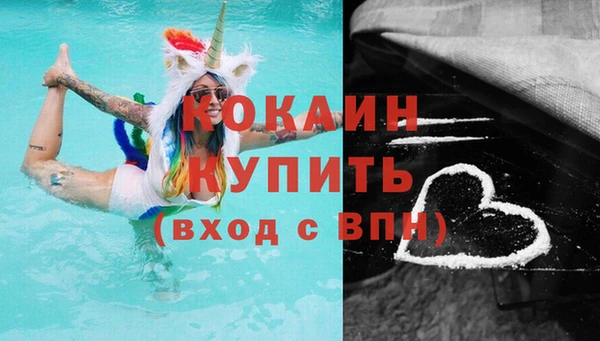 стаф Новокубанск