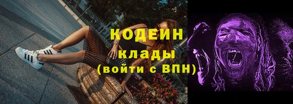 2c-b Новозыбков