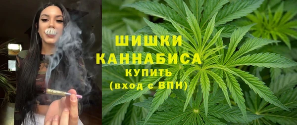 apvp Няндома