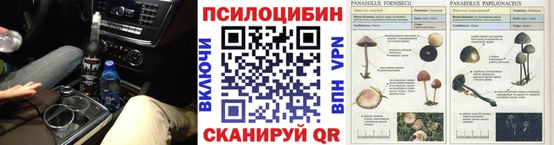 Галлюциногенные грибы мицелий  blacksprut ссылки  Рыбное  купить  
